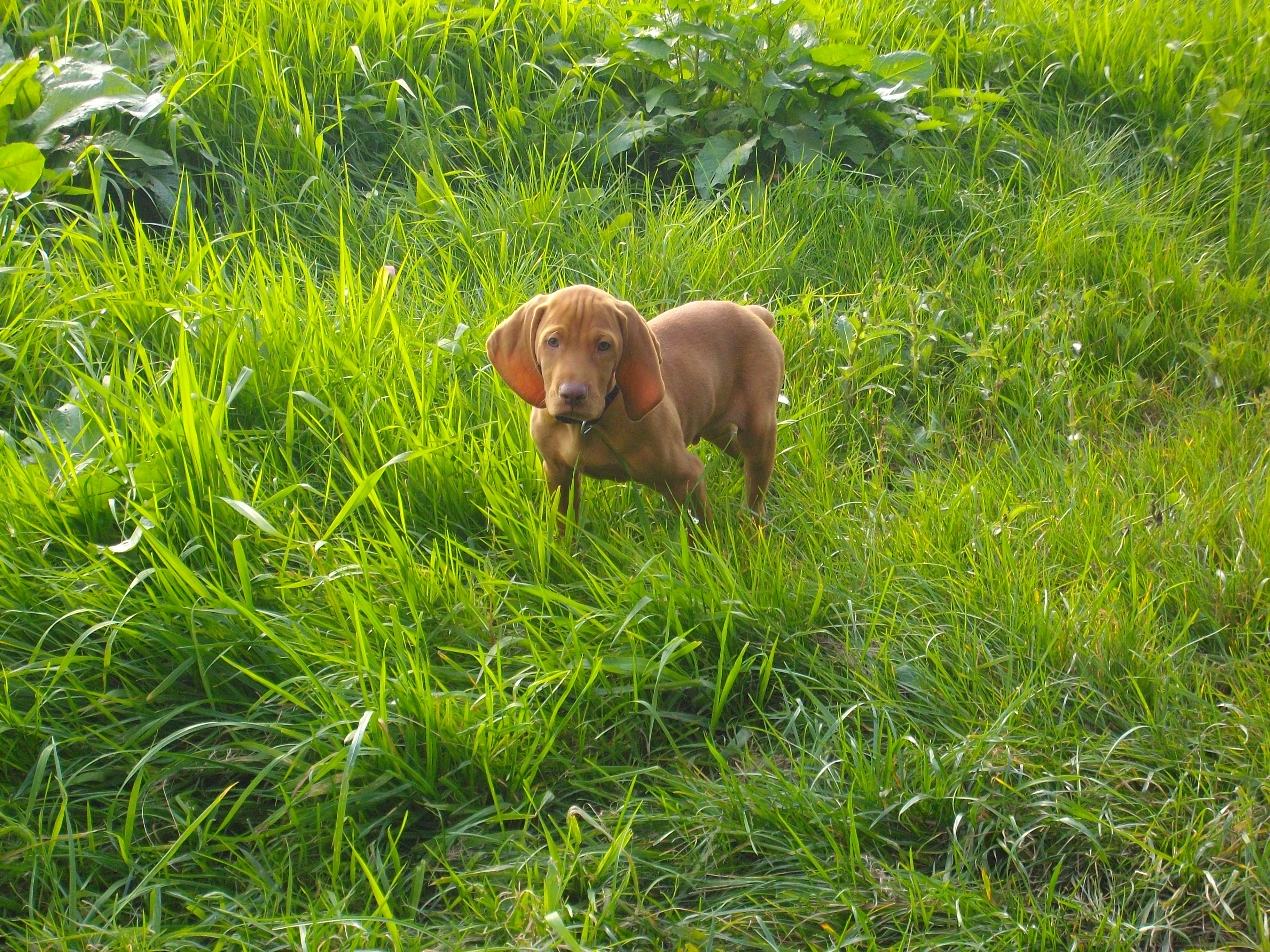 IMGP0477
